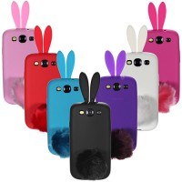 Rabbit 1